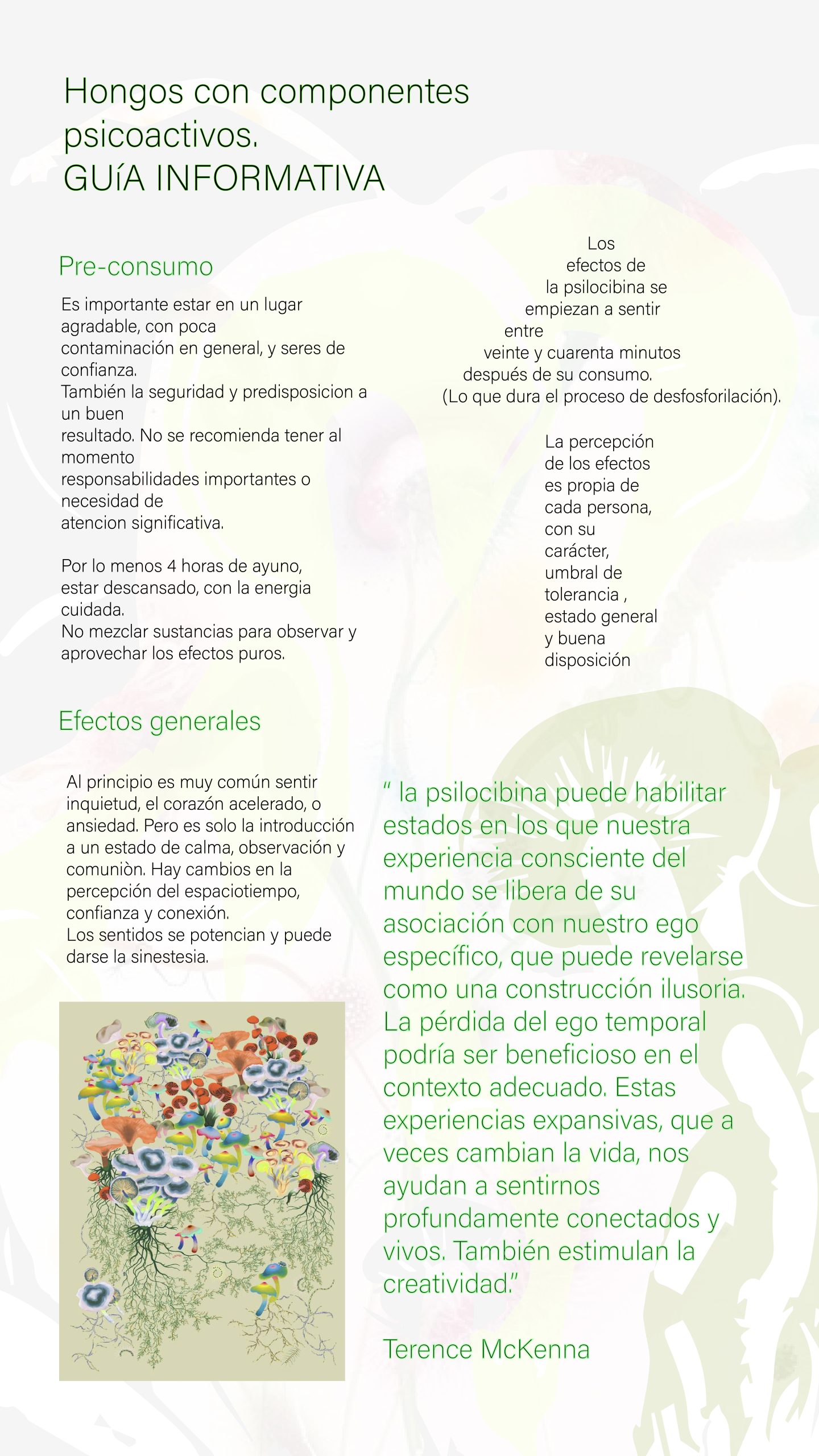 prueba2-01