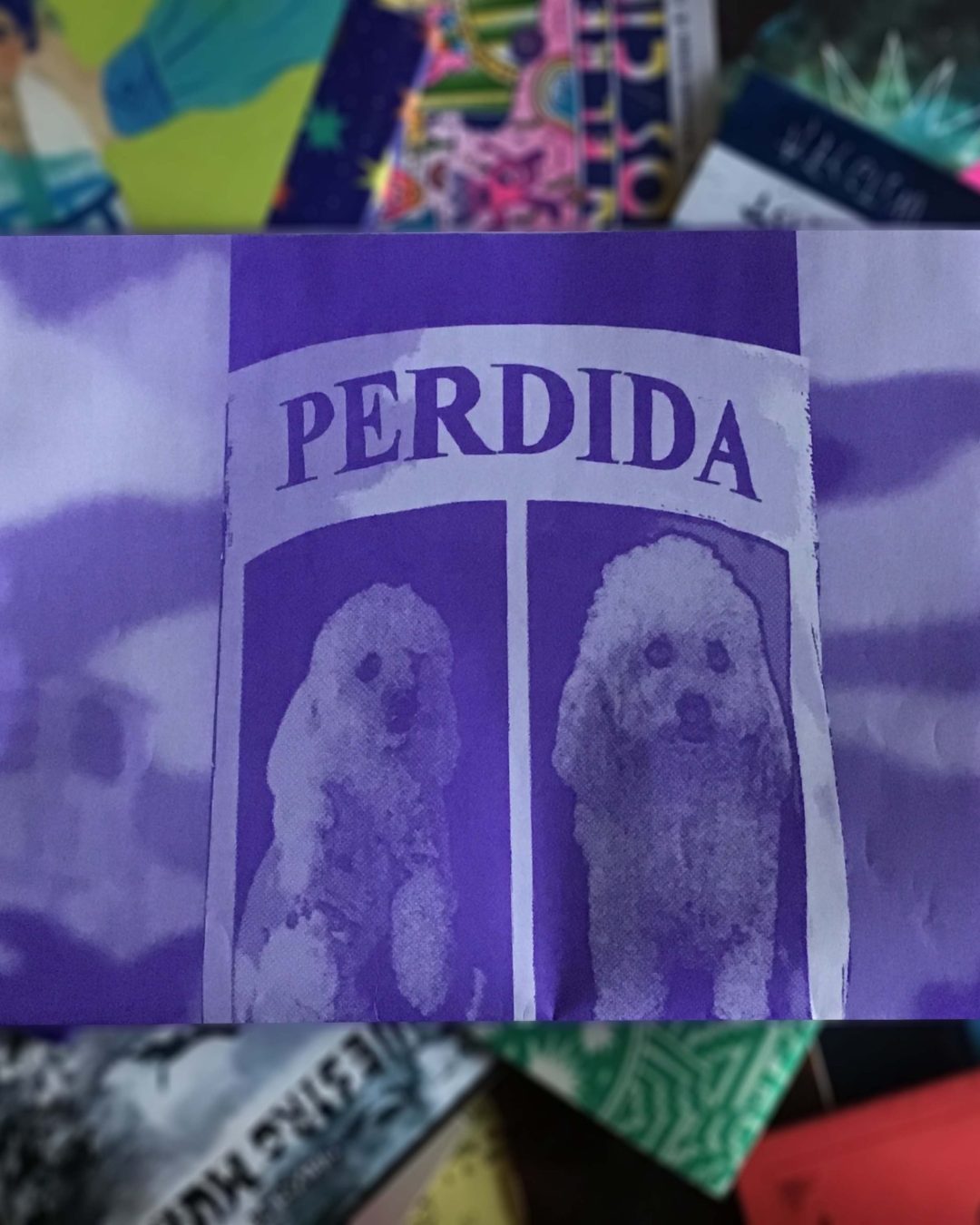PERDIDA