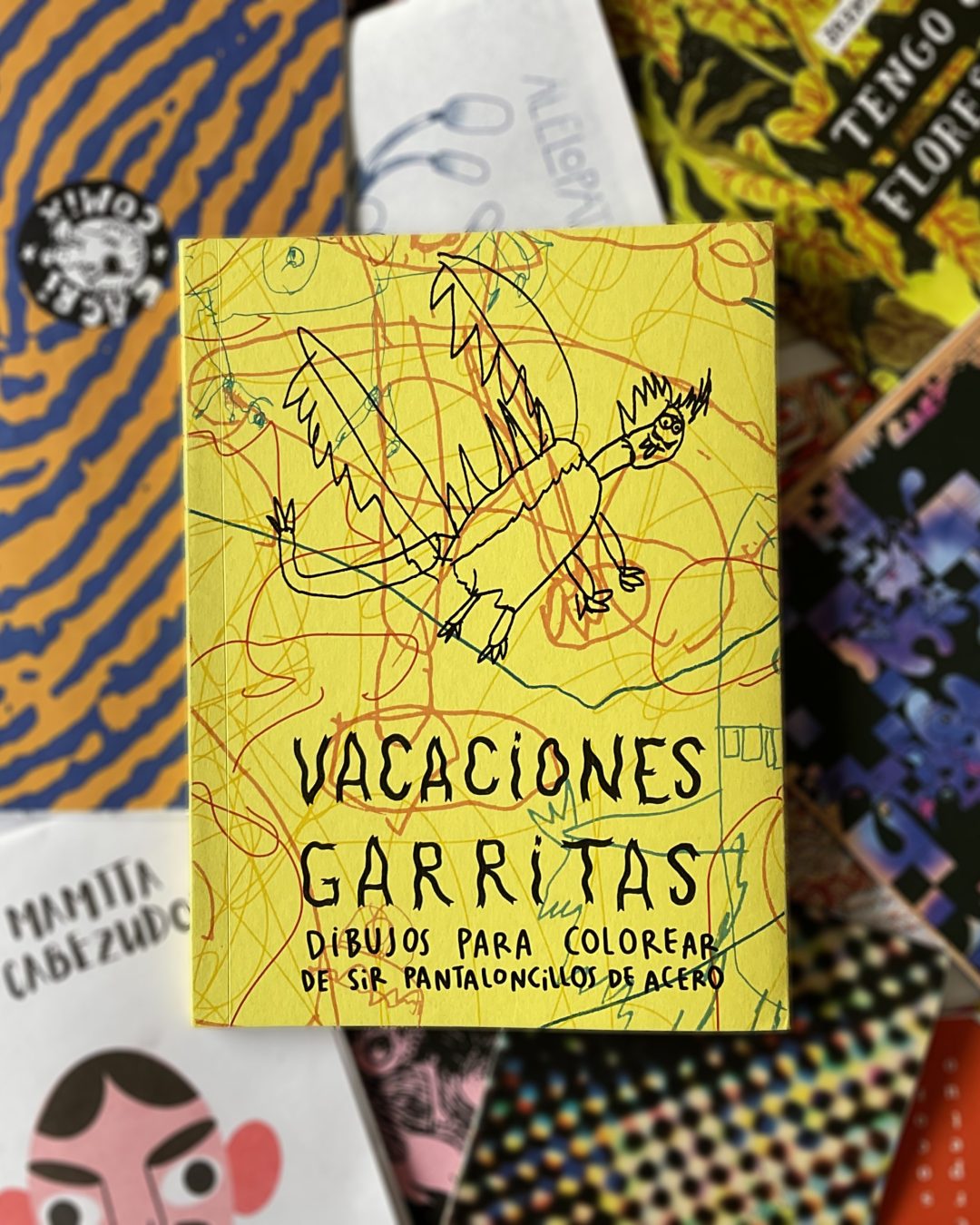 VACACIONES GARRITAS
